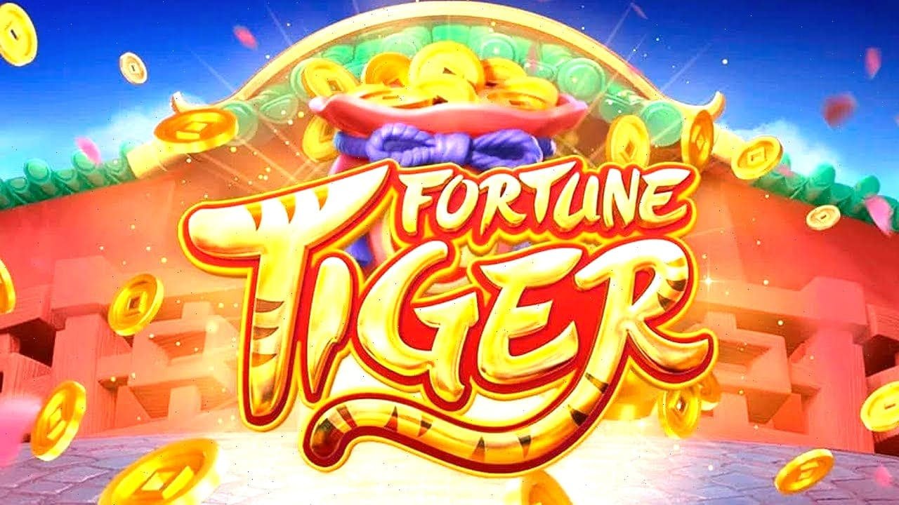 Studio dealer langsung goodtogel dengan kamera multi-sudut berkualitas HD